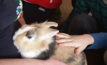 Odwiedziny Mai i Tośka