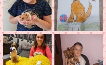 Dzień ze zwierzętami w 2 B