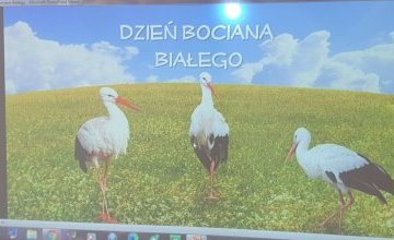 Dzień Bociana Białego w 0 C