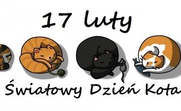 Światowy Dzień Kota