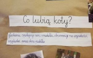 Światowy Dzień Kota w klasie 1 C (4)