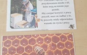 Światowy Dzień Pszczół w świetlicy szkolnej.    (15)