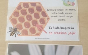 Światowy Dzień Pszczół w świetlicy szkolnej.    (11)