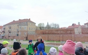 Uczestnicy "Koła regionalnego" zwiedzają Oleśnicę z przewodnikiem. (9)