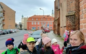 Uczestnicy "Koła regionalnego" zwiedzają Oleśnicę z przewodnikiem. (7)