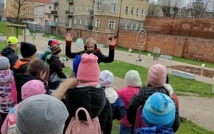 Uczestnicy "Koła regionalnego" zwiedzają Oleśnicę z przewodnikiem. (6)