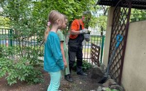 uczniowie edukacji wczesnoszkolnej zakładają rabaty kwiatowe (5)