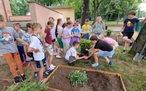 uczniowie edukacji wczesnoszkolnej zakładają rabaty kwiatowe (9)