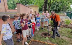 uczniowie edukacji wczesnoszkolnej zakładają rabaty kwiatowe (10)