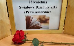 Międzyszkolny konkurs plastyczny ,,Wierszem malowane - najciekawsza ilustracja do wiersza Jana Brzechwy”  (7)