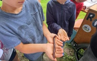 Dzień Dziecka w 2 B – mali „Adepci robakologii” (12)