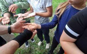 Dzień Dziecka w 2 B – mali „Adepci robakologii” (3)