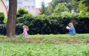Obserwatorzy przyrody z klasy 2 B (13)