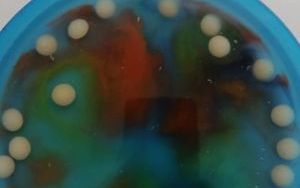 Świetlica bawi i uczy (8)