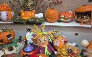 Konkurs na Najlepiej Udekorowaną Dynię (4)