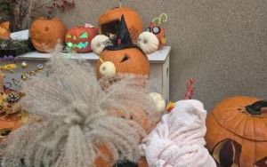 Konkurs na Najlepiej Udekorowaną Dynię (5)