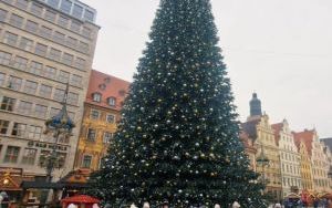 Wycieczka uczniów klas 2, 3 i 4 do Narodowego Forum Muzyki we Wrocławiu (9)