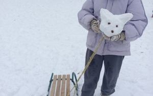 Zimowe szaleństwo na świetlicy szkolnej (8)