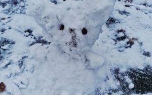 Kreatywne zajęcia w klasie 2 b (3)