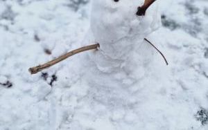 Kreatywne zajęcia w klasie 2 b (14)