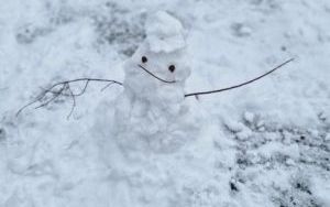 Kreatywne zajęcia w klasie 2 b (1)