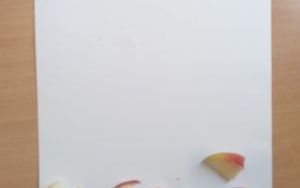 Sztuka na talerzu w świetlicy szkolnej (10)