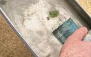 Zajęcia z ciekłym azotem w klasie 2 b i 4 c (2)