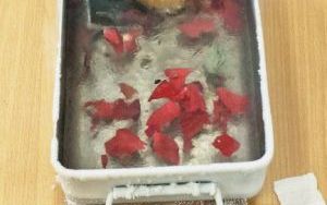 Zajęcia z ciekłym azotem w klasie 2 b i 4 c (6)