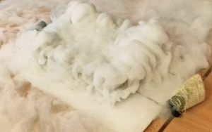 Zajęcia z ciekłym azotem w klasie 2 b i 4 c (9)