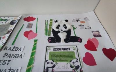 Obchodzimy Międzynarodowy Dzień Pandy Wielkiej (4)