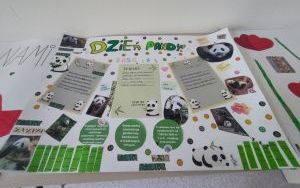 Obchodzimy Międzynarodowy Dzień Pandy Wielkiej (3)