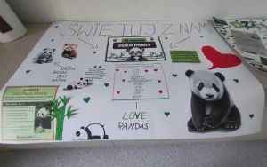 Obchodzimy Międzynarodowy Dzień Pandy Wielkiej (2)