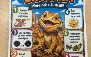 Co słychać w klasie 3a?  (13)