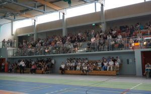Apel (11)